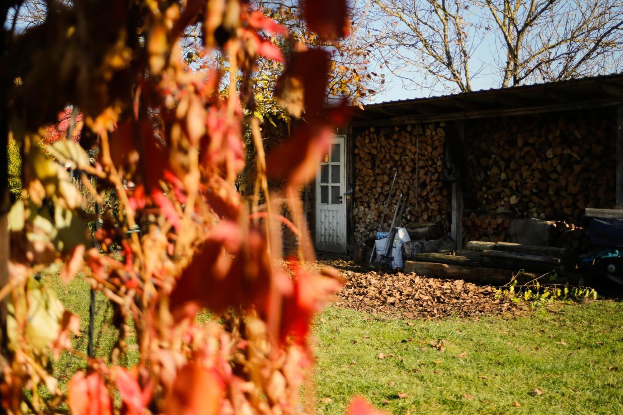 Soltysowka Villa Wolka Nadbuzna  Exterior photo